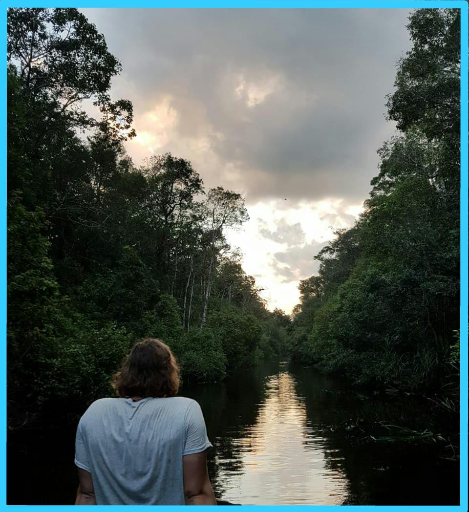 Orangutan Tour House boat 4 Days (PRIVATE) - Image 17