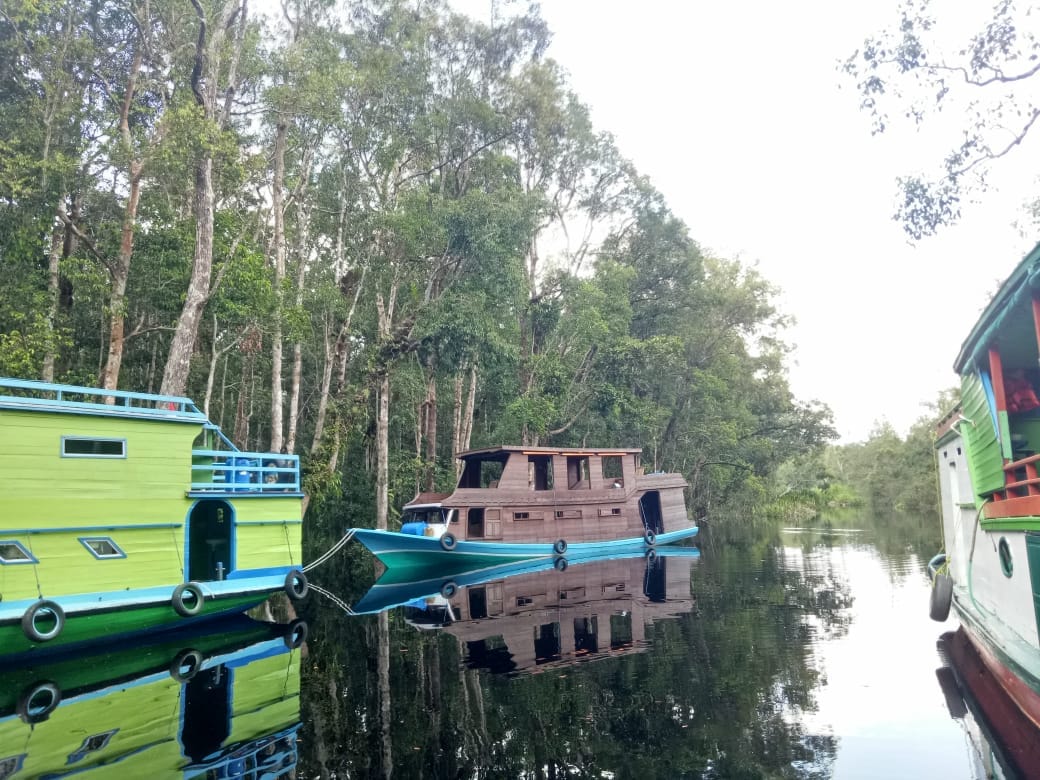 Orangutan Tour House boat 4 Days (PRIVATE)