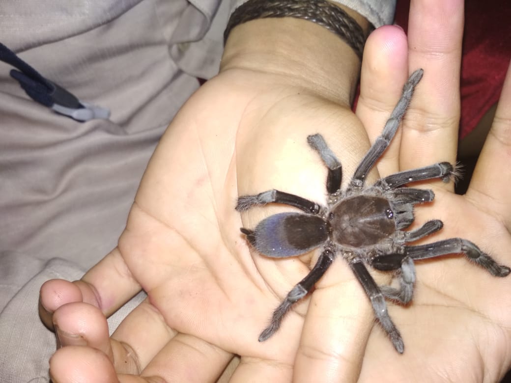 Orangutan Tour House boat 4 Days (PRIVATE) - Image 13